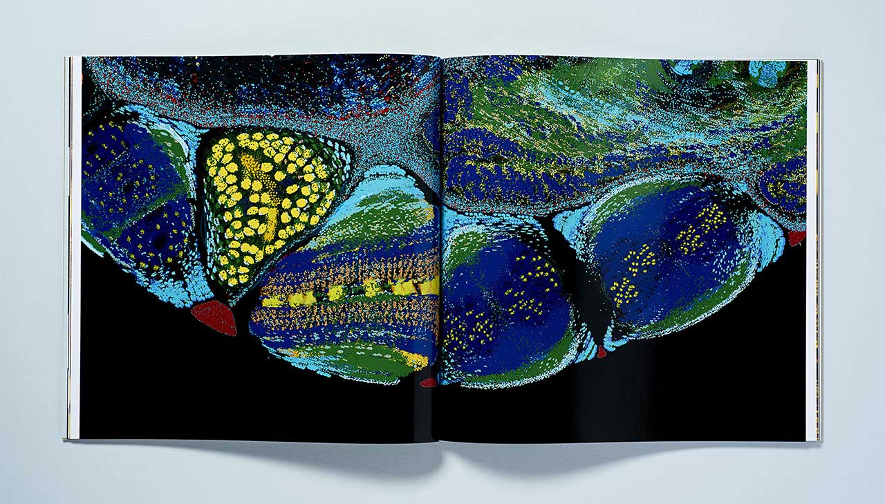 人工智能芯片技术公司Graphcore新品牌设计-深圳科技品牌设计