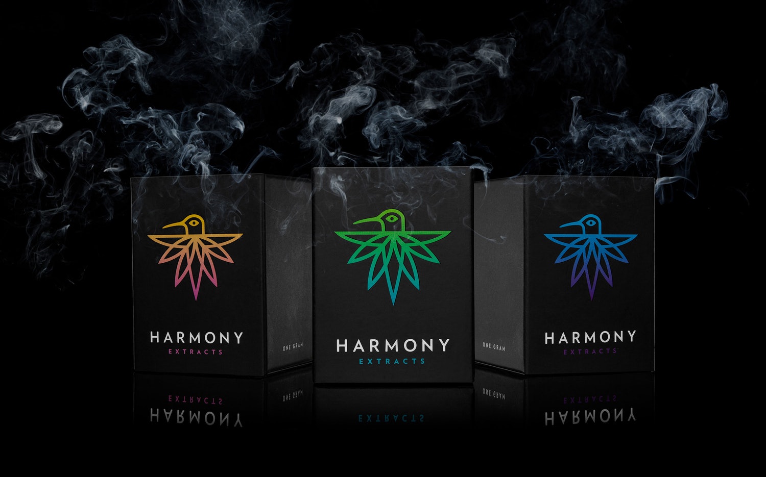 深圳Vi设计-产品包装设计-消费品品牌设计-深圳平面设计公司