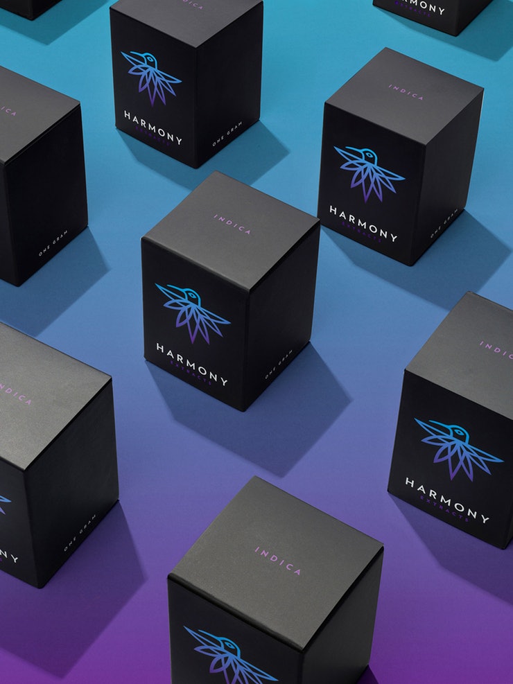 深圳Vi设计-产品包装设计-消费品品牌设计-深圳平面设计公司