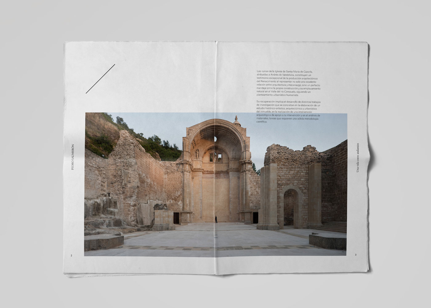 深圳VI设计-创意品牌设计