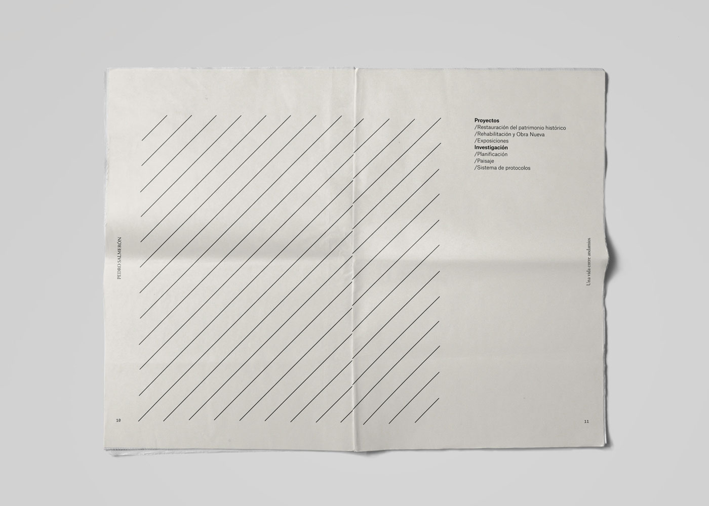 深圳VI设计-创意品牌设计