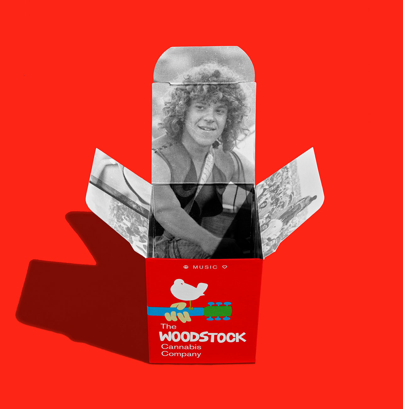 创意设计,深圳品牌策划设计,深圳VI设计-山林意造