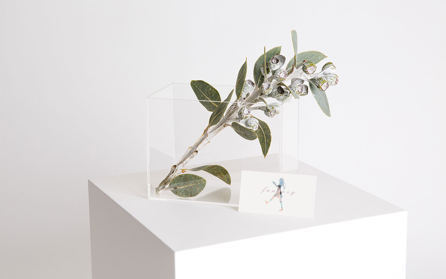 花茶品牌设计