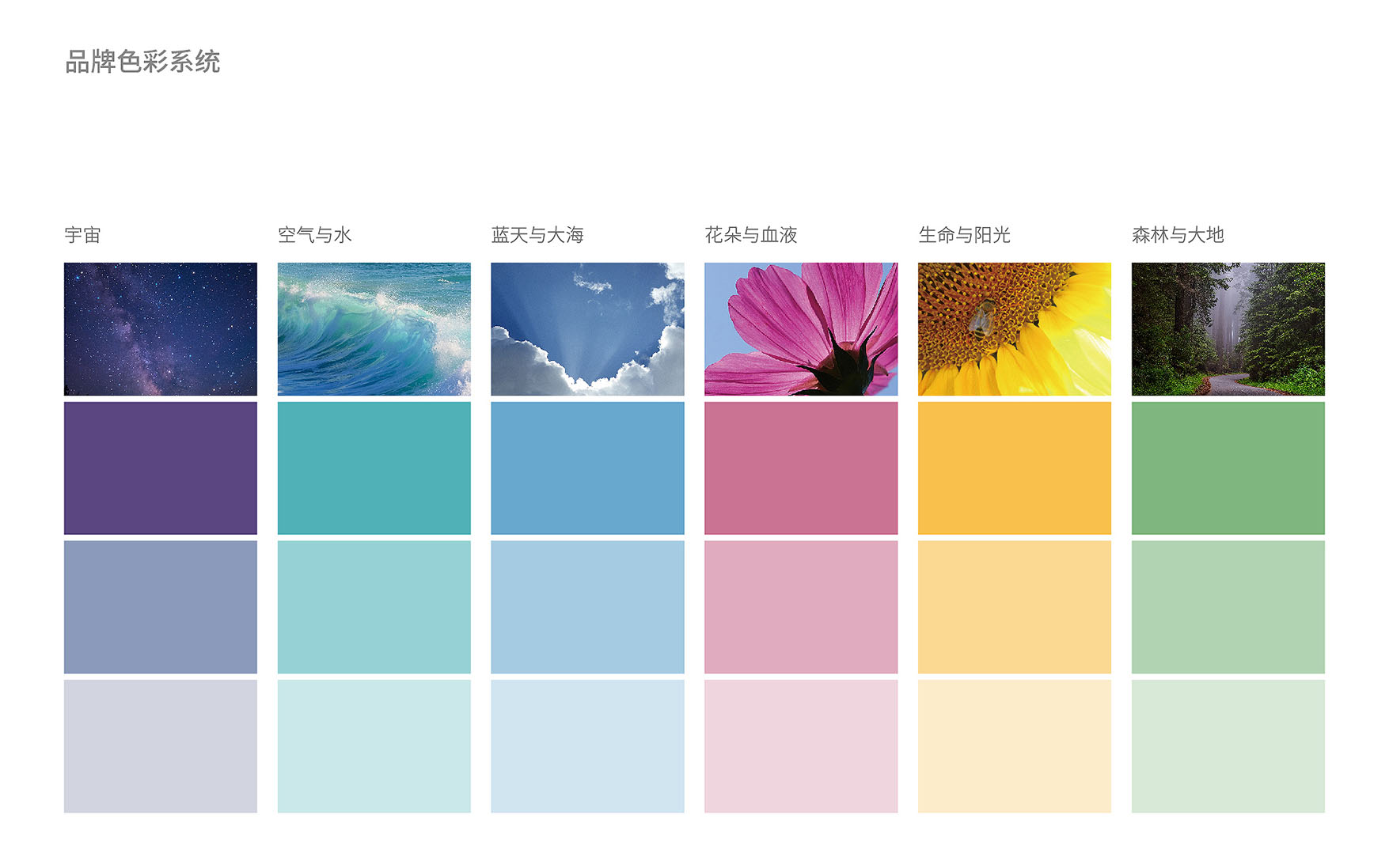 VI风格设计 PPT-04.jpg