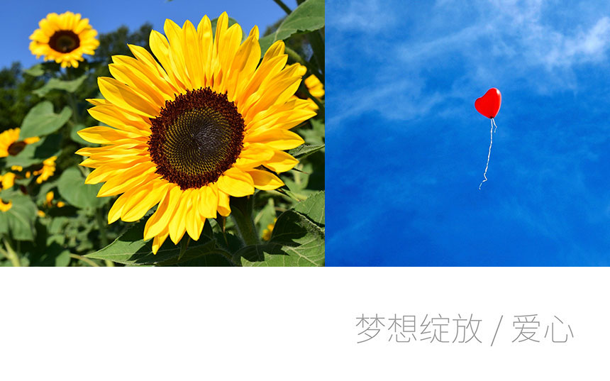 心形.jpg