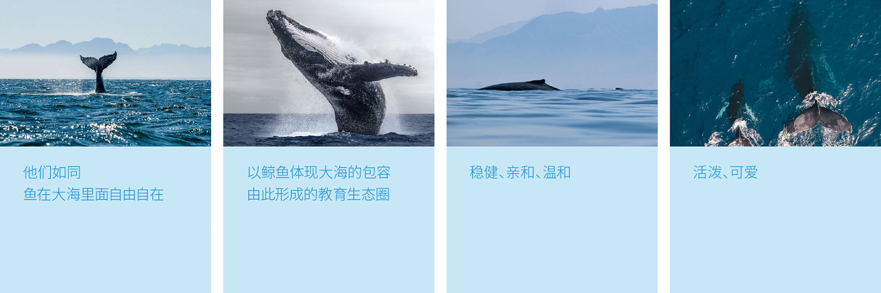 释义-03.jpg