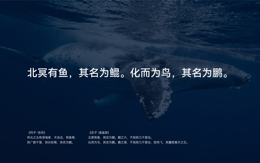 北鲲云vi设计